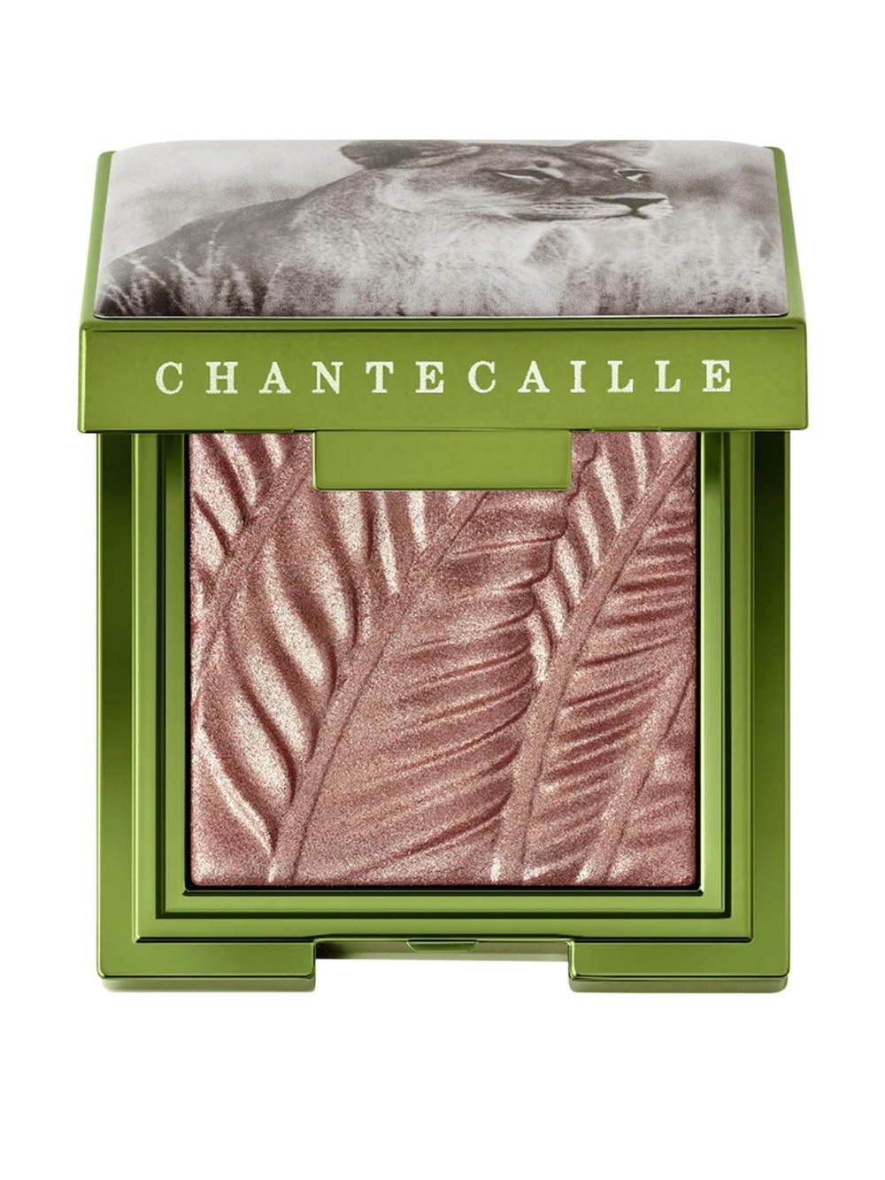 💚NWT // Chantecaille Selenkay Eye Shadow💚